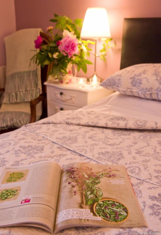 Le Cheval Blanc Bed & Breakfast Saint-Antonin-Noble-Val Luaran gambar